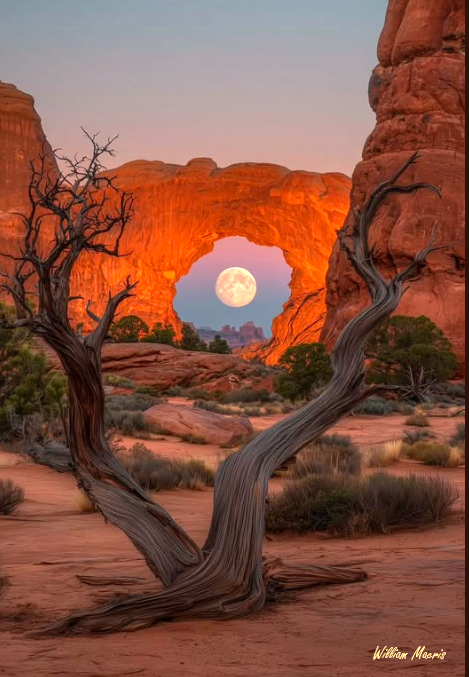ART OF NATURE UTAH, AZ.png