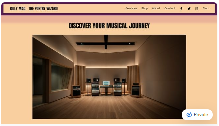 BILLYS WEBSITE HOMEPAGE.png