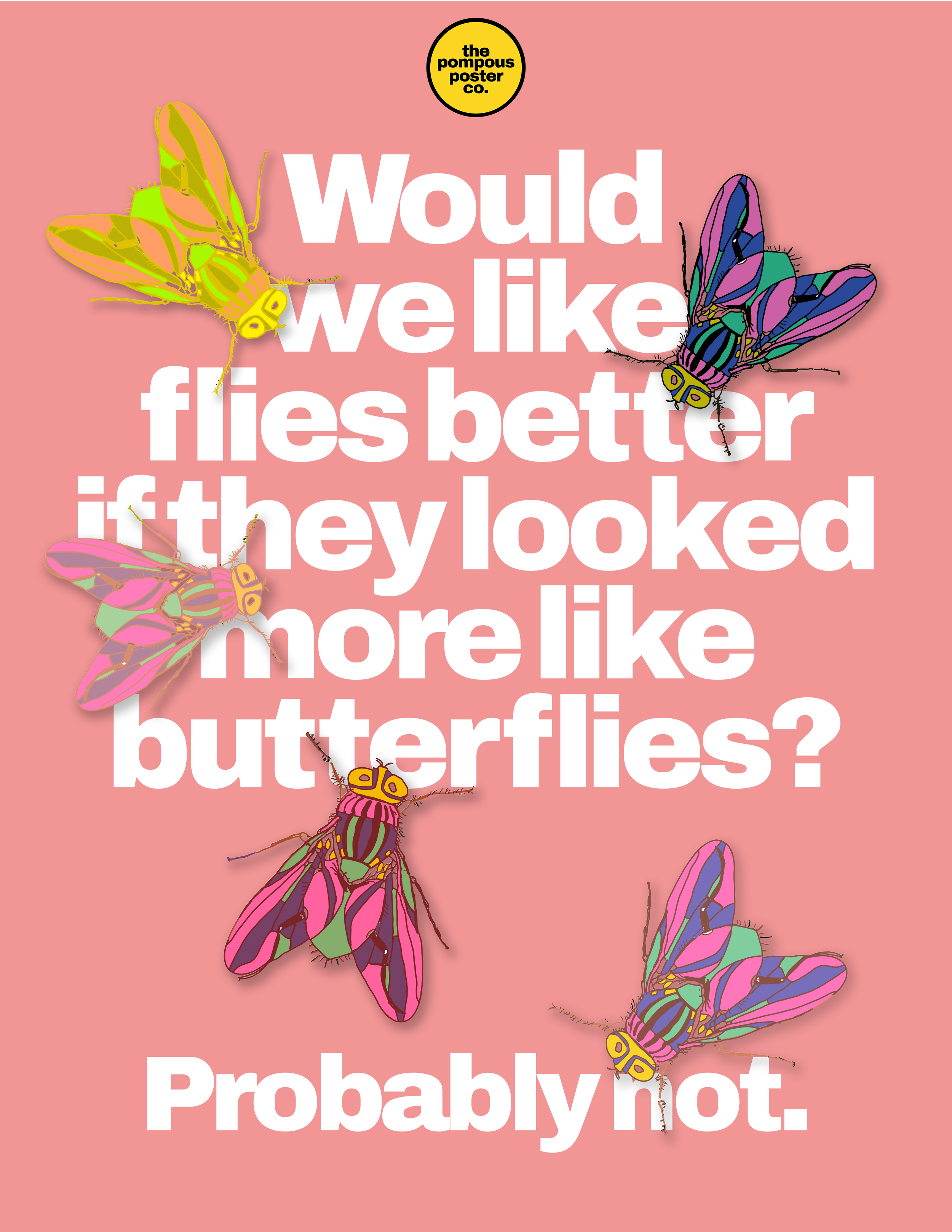 Beautiful Flies