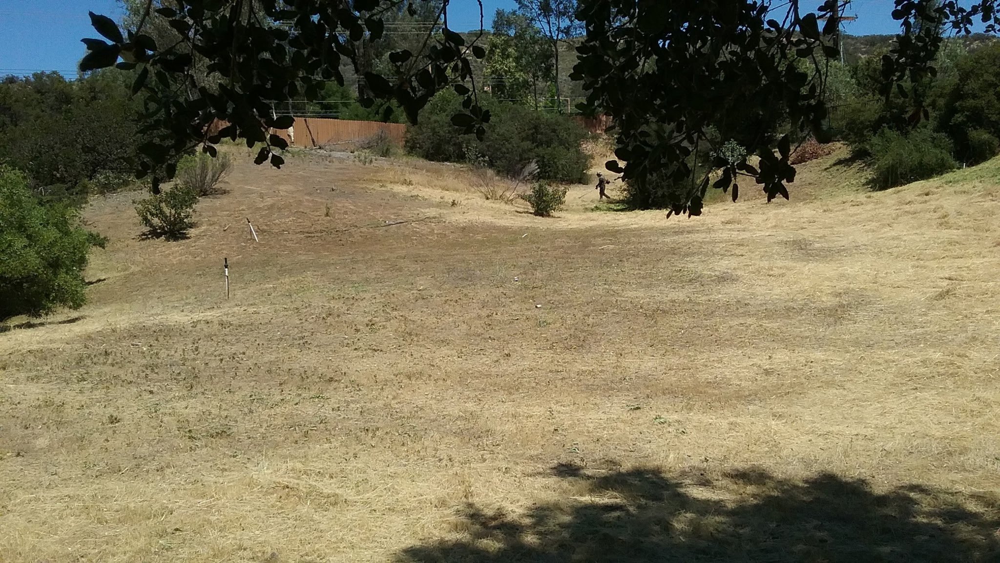 20160422_120637.jpg