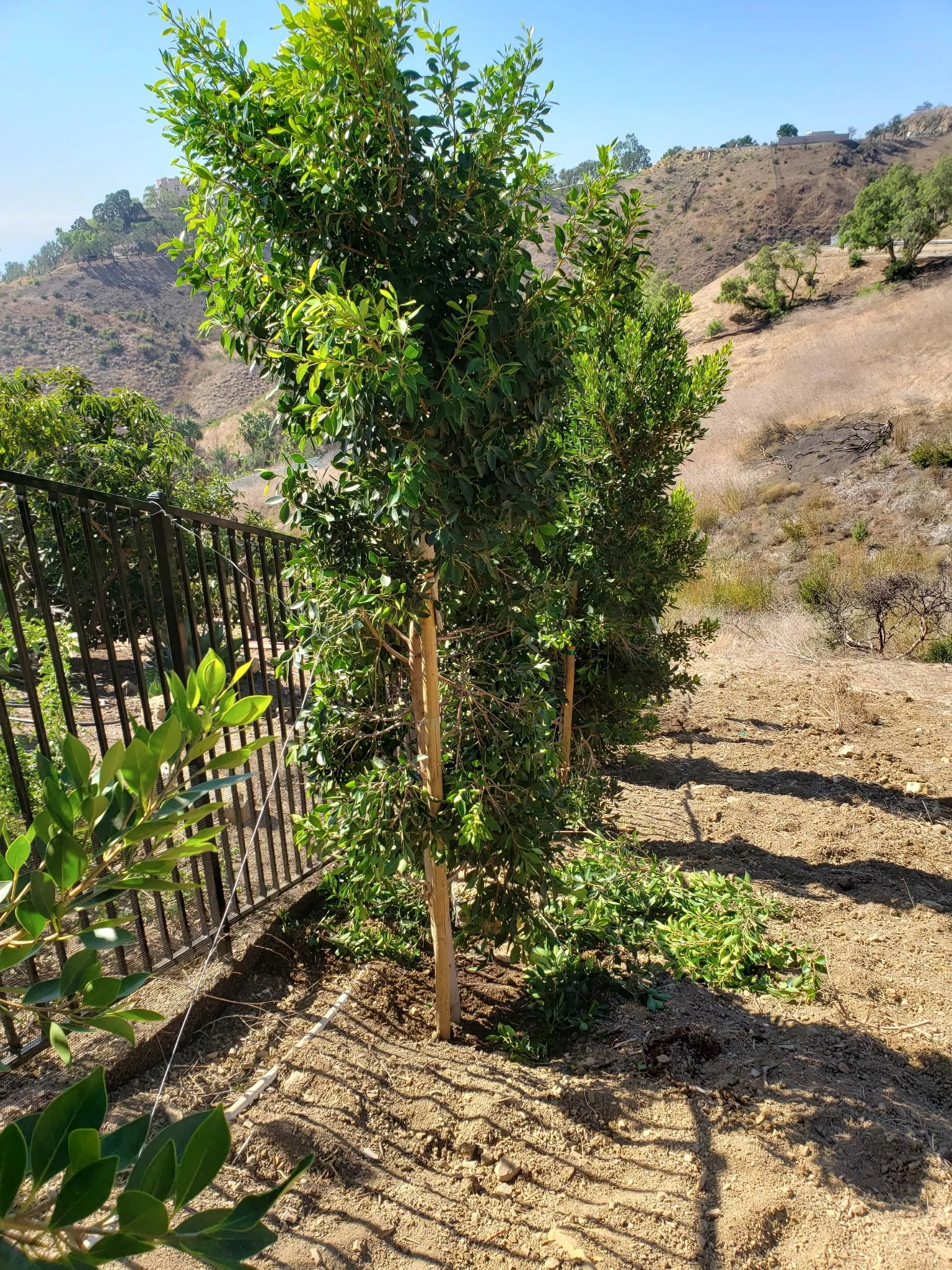20191023_121426.jpg