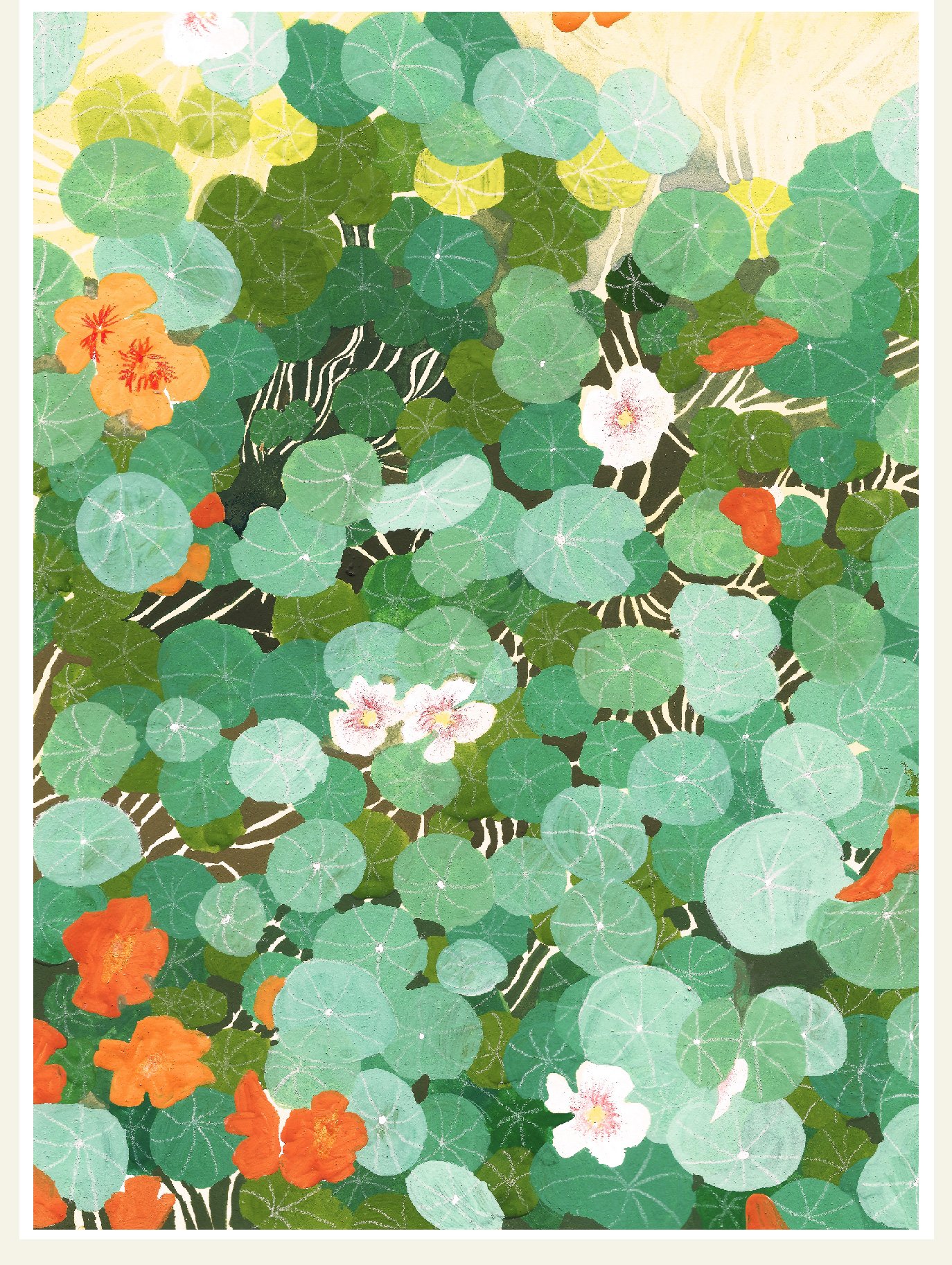 Nasturtium Art Print
