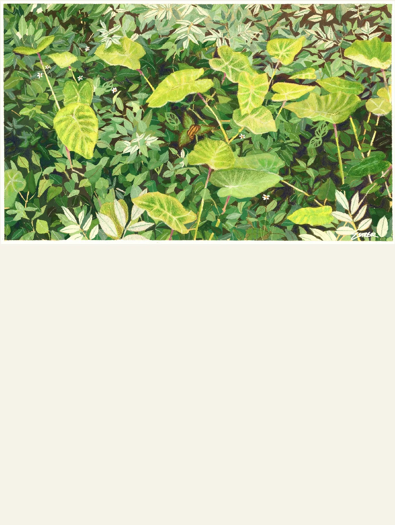 Nanzhuang Butterfly Art Print