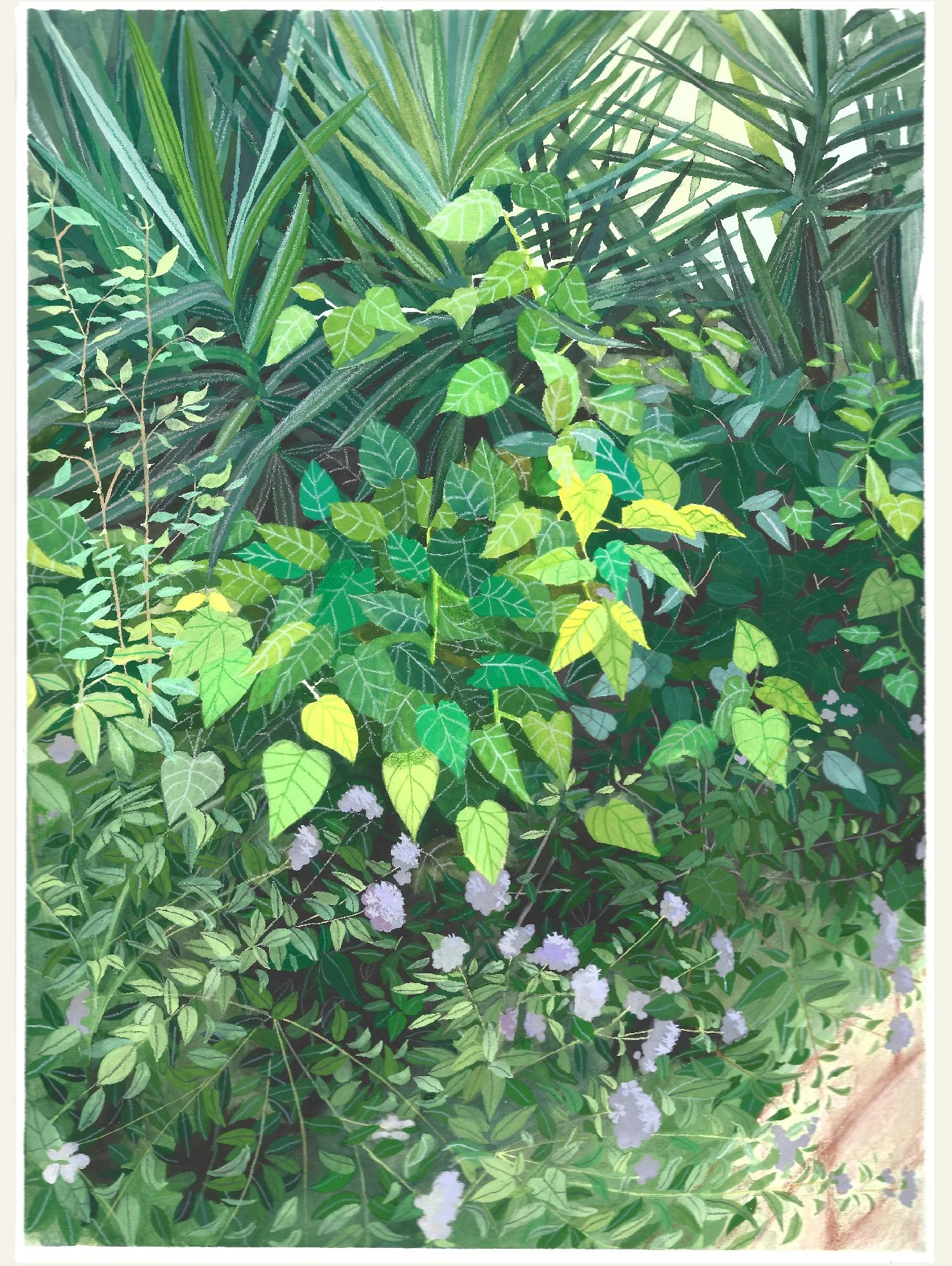 Mulberry Bush in my Neighborhood Art Print