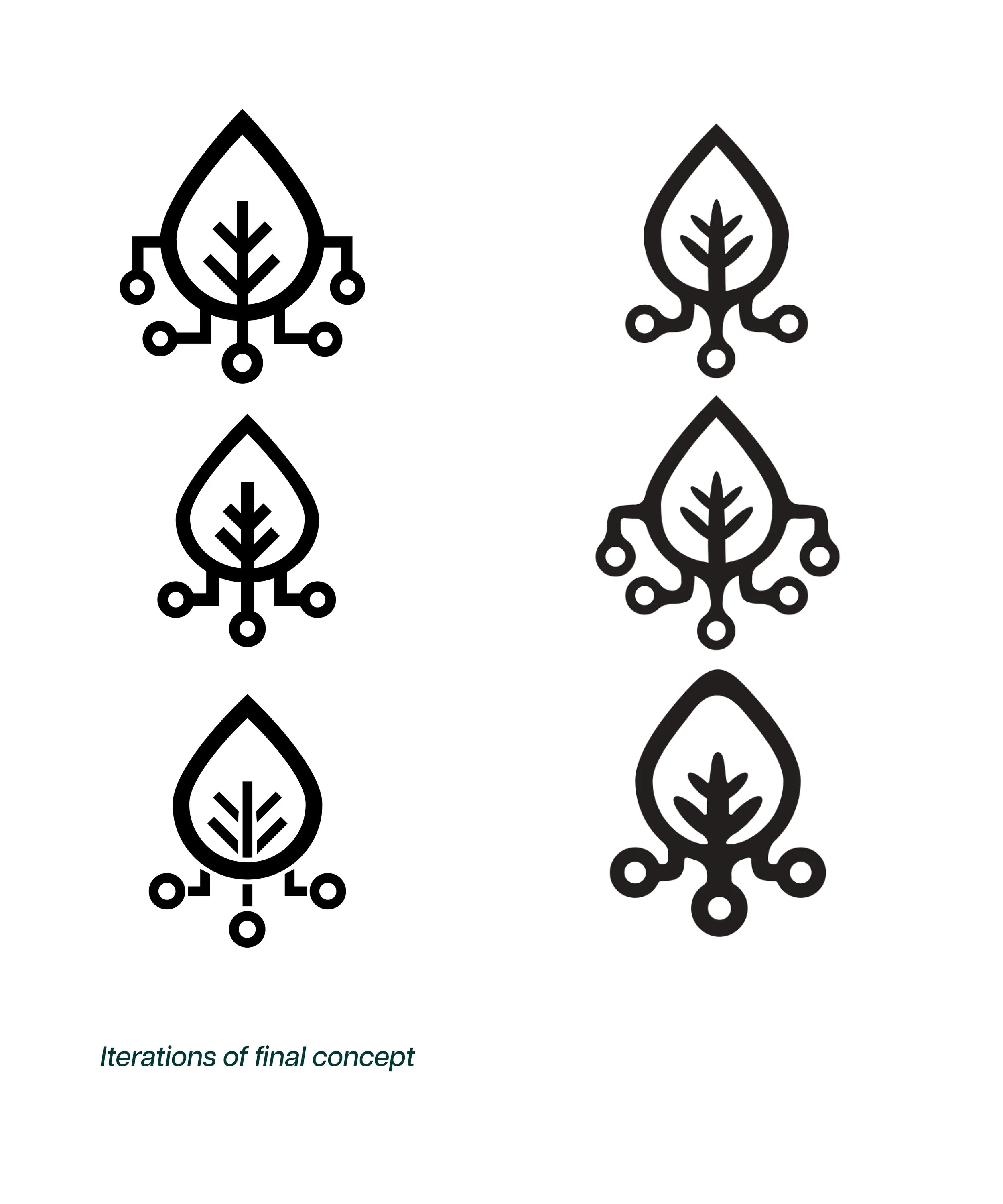 Without Page Numbers9.jpg