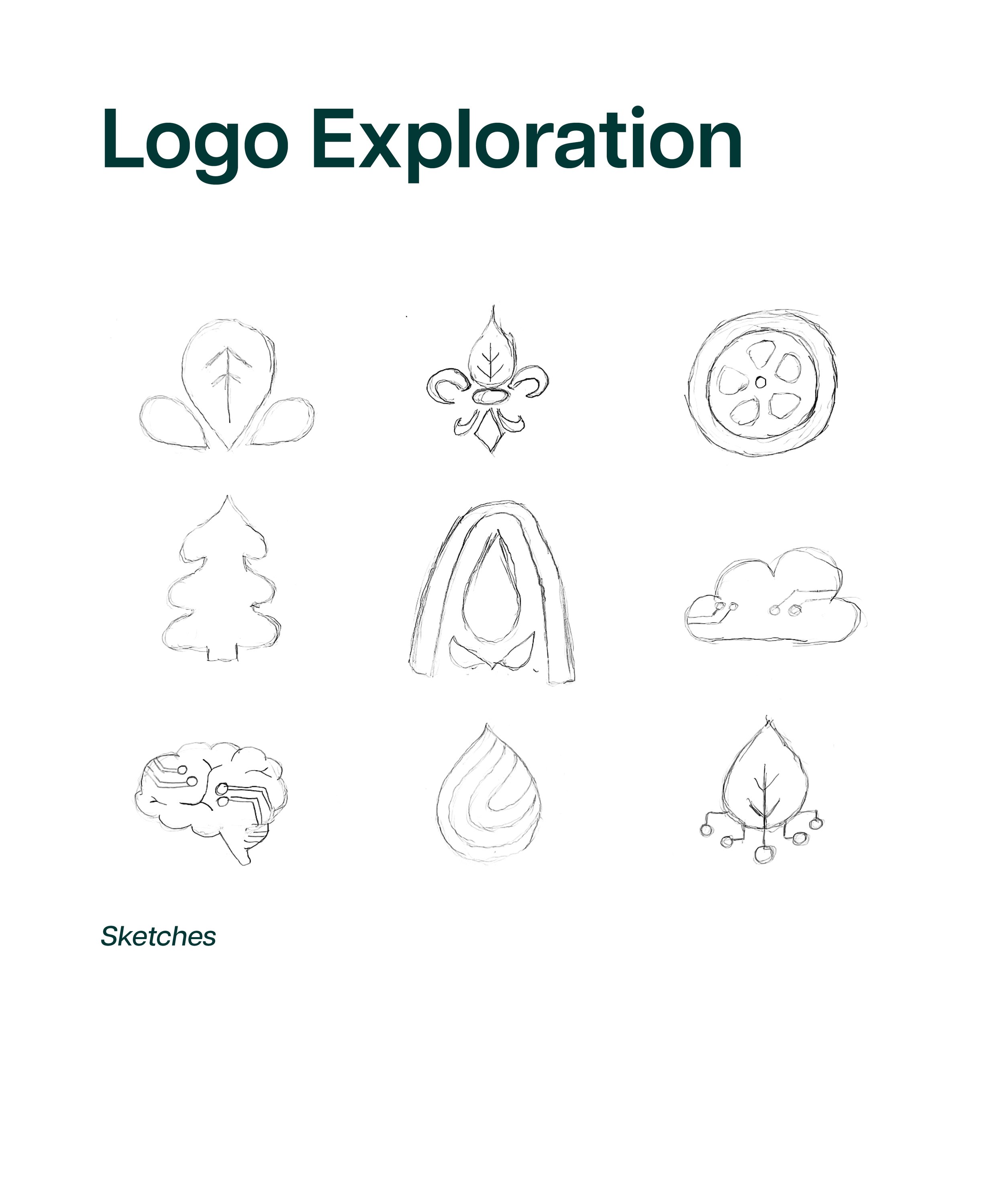 Without Page Numbers6.jpg