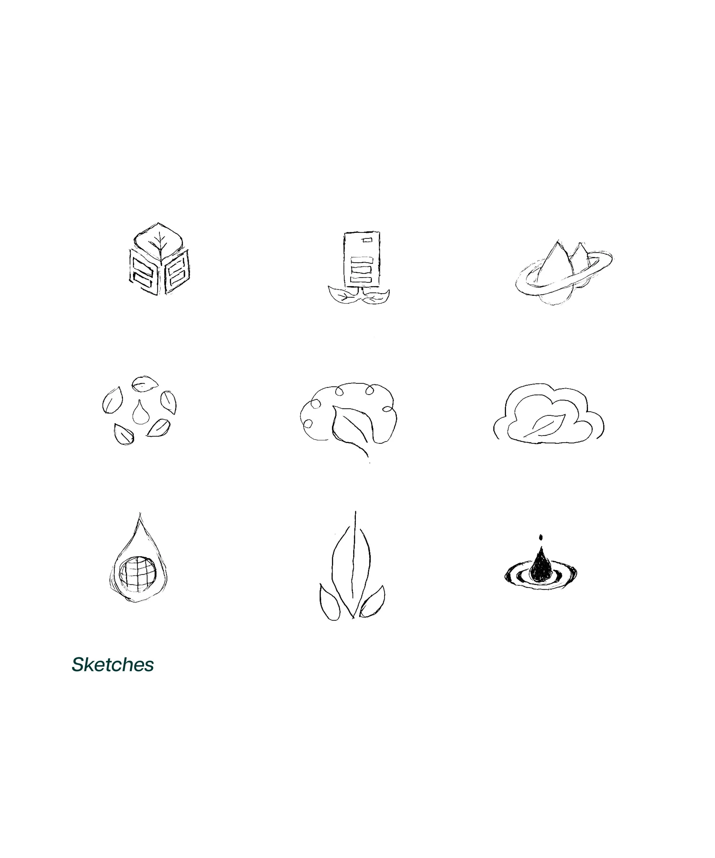 Without Page Numbers7.jpg