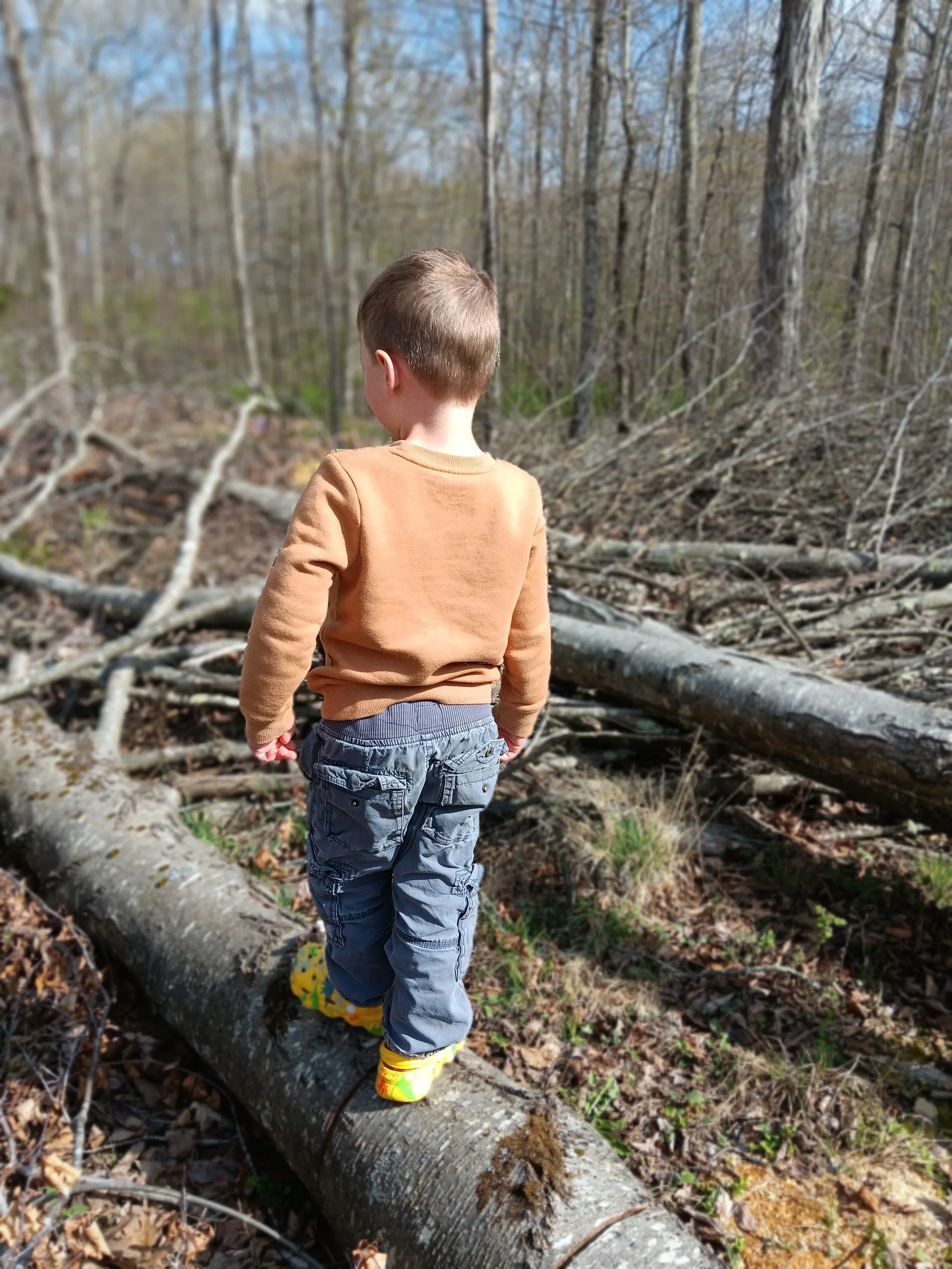 Preschool child balancing on a log. Calm, outdoor environment for unhurried nature based play.