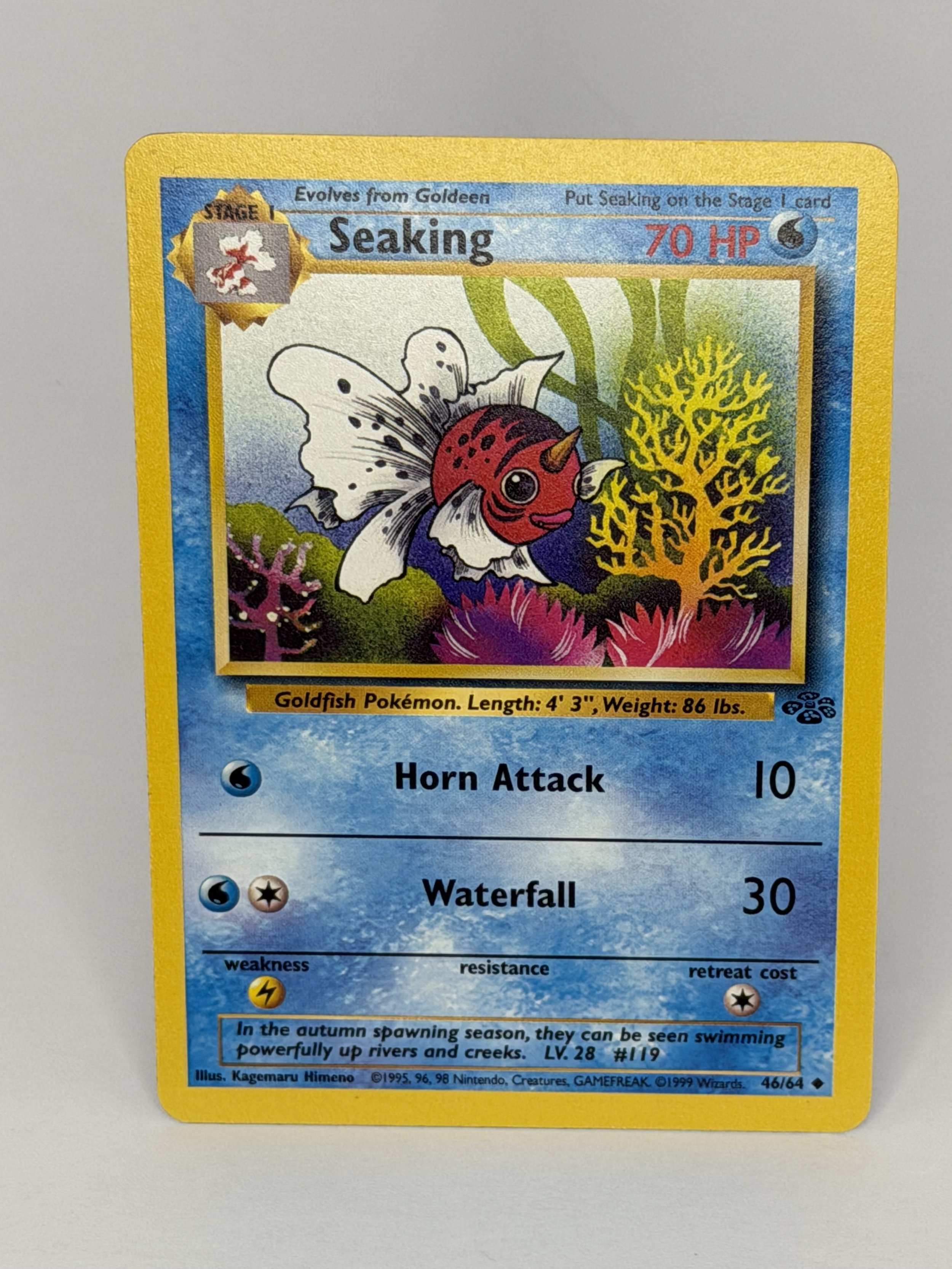 Seaking