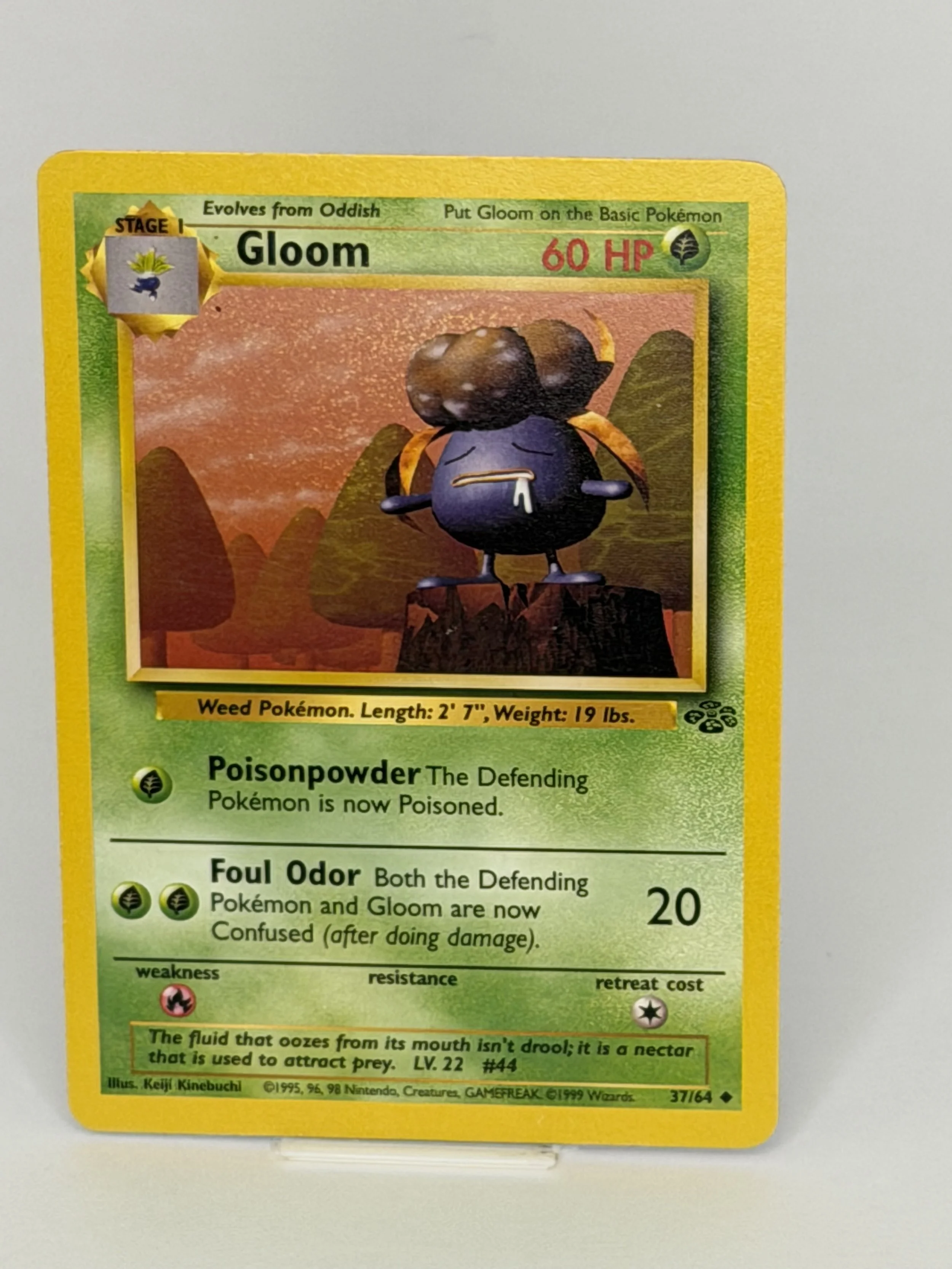 Gloom (Jungle)