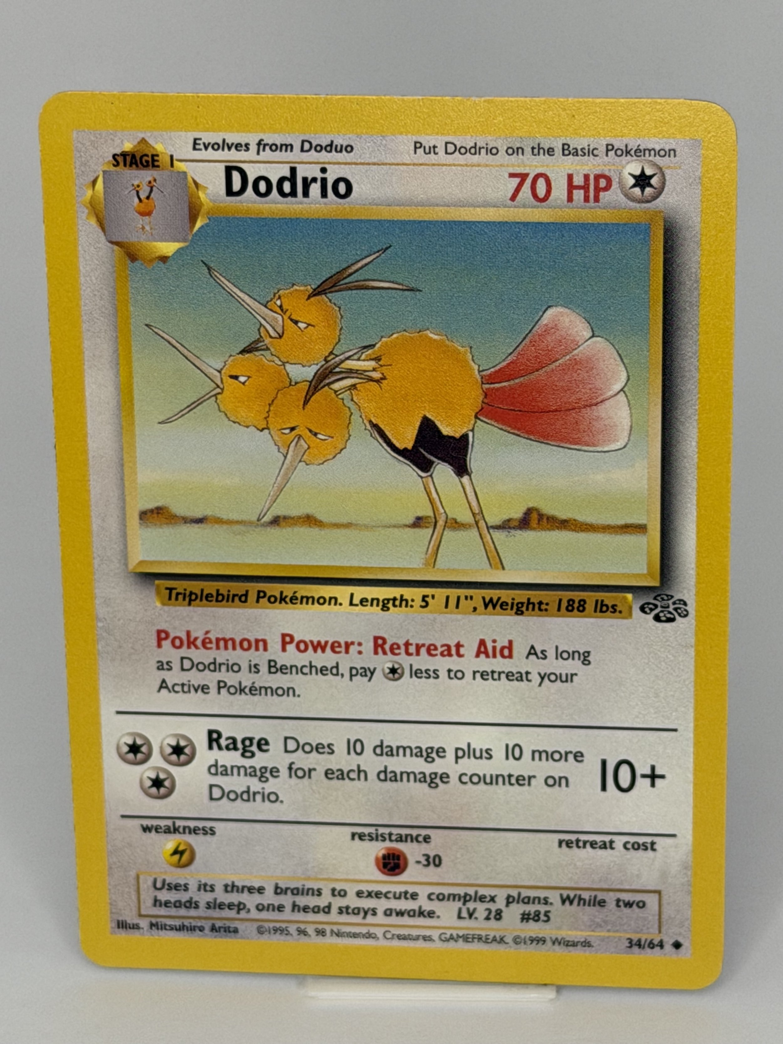 Dodrio