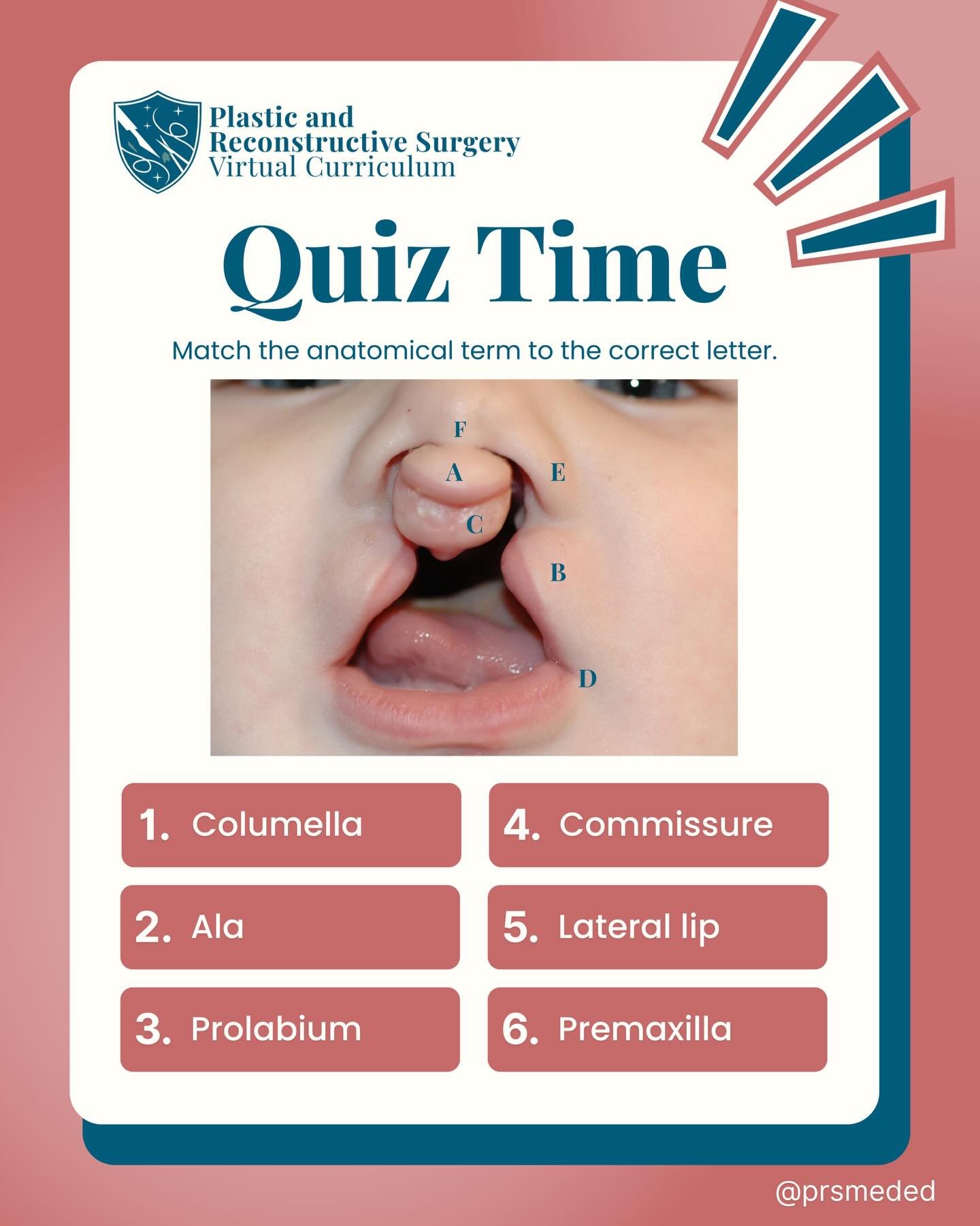 Quick quiz from Dr. Tolley&rsquo;s lecture on Cleft Lip &amp; Palate ✨ can you name match the correct anatomical terms to their locations?