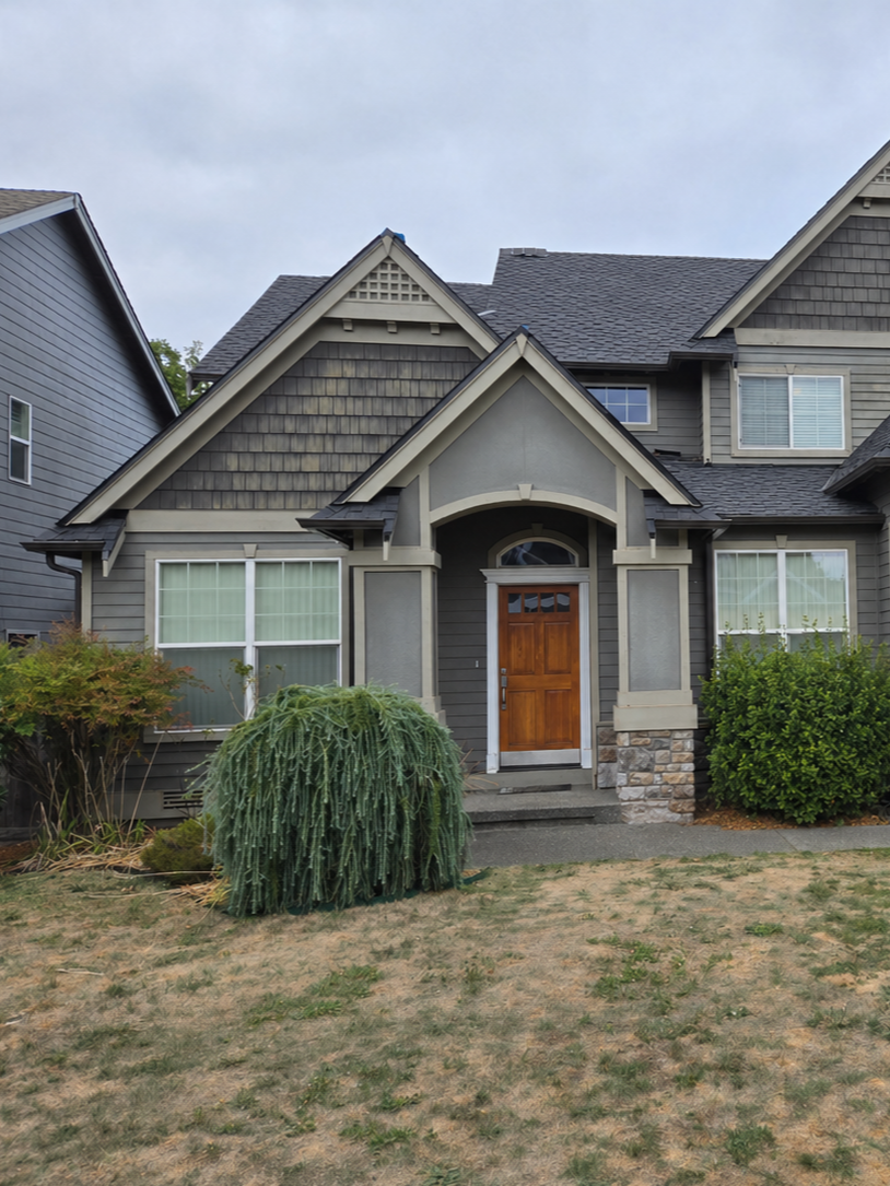 Affordable gutter cleaning service near me leaf and debris removal