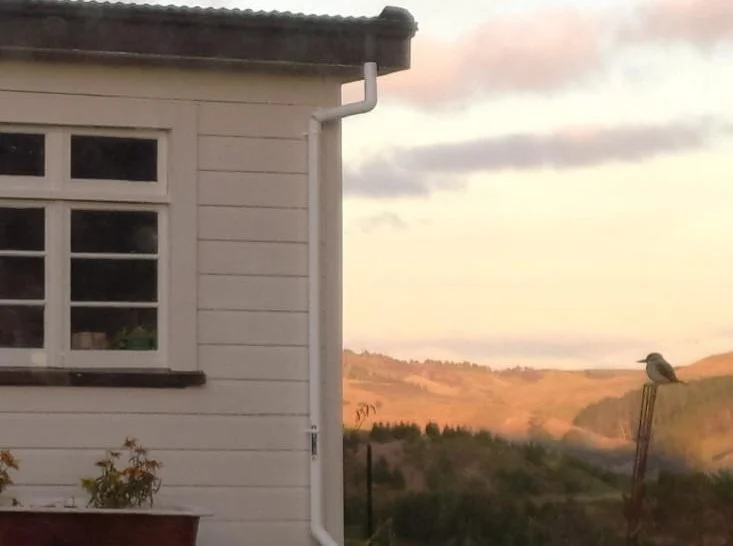 A bird perched on a metal stake outside a house, with rolling hills in the distance under a cloudy sky at sunset.
