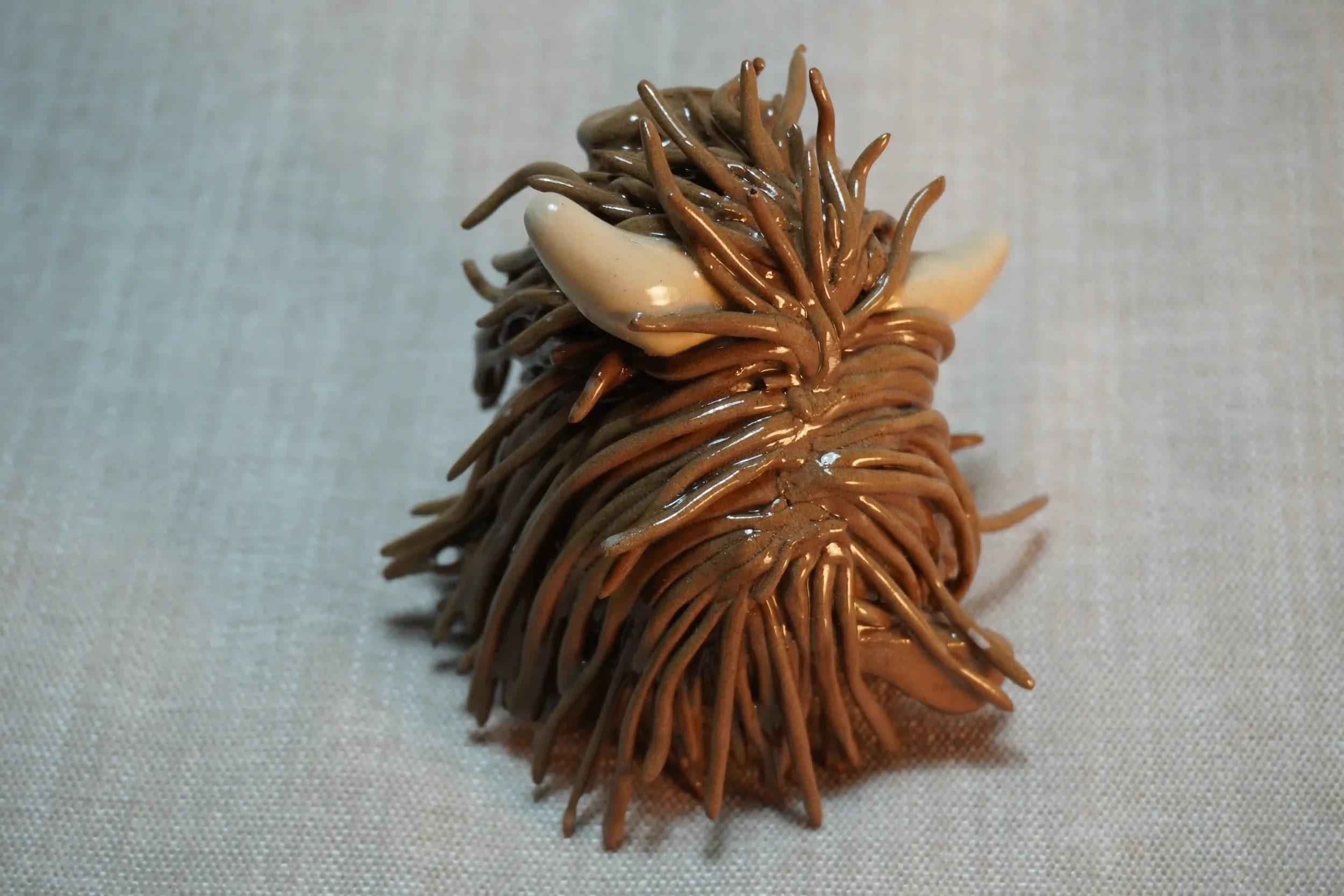 Rear view of a handmade pottery ceramic sculpture of a Highland Cow ornament with milk chocolate-coloured hair and beige horns.
