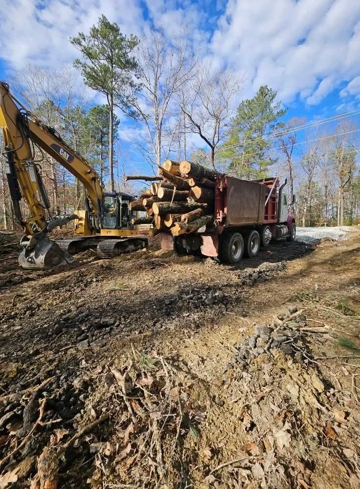 lot clearing 1.jpg