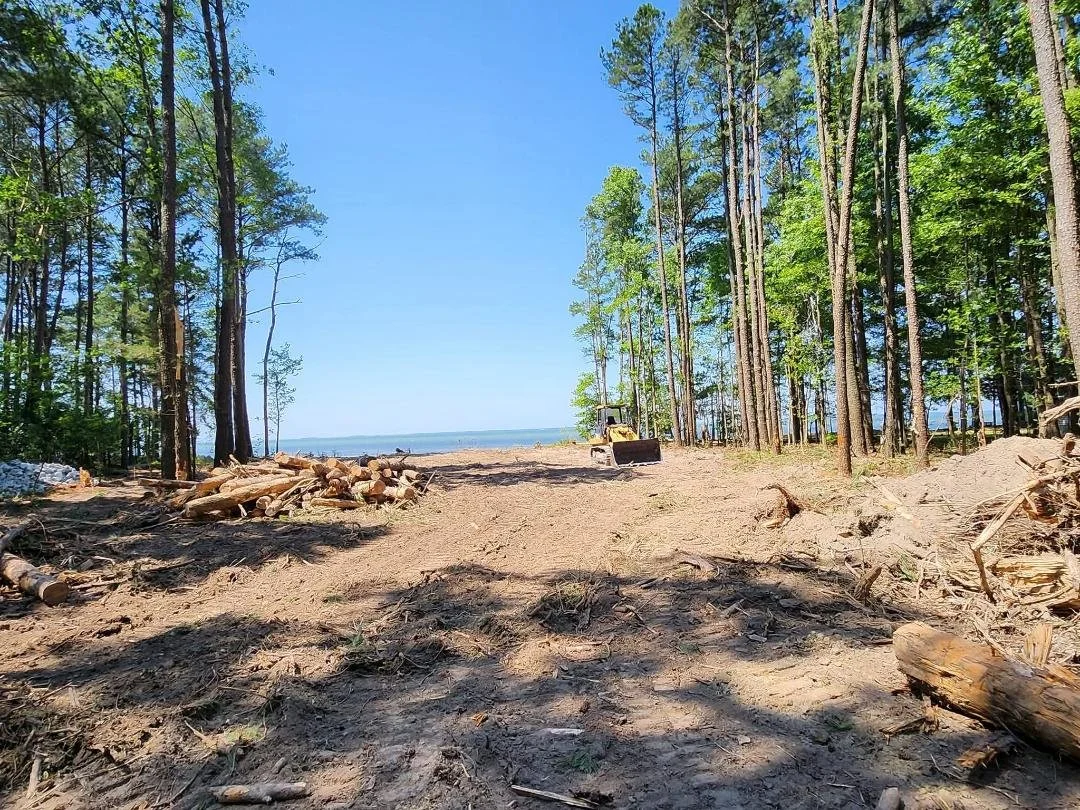 lot clearing 3.jpg