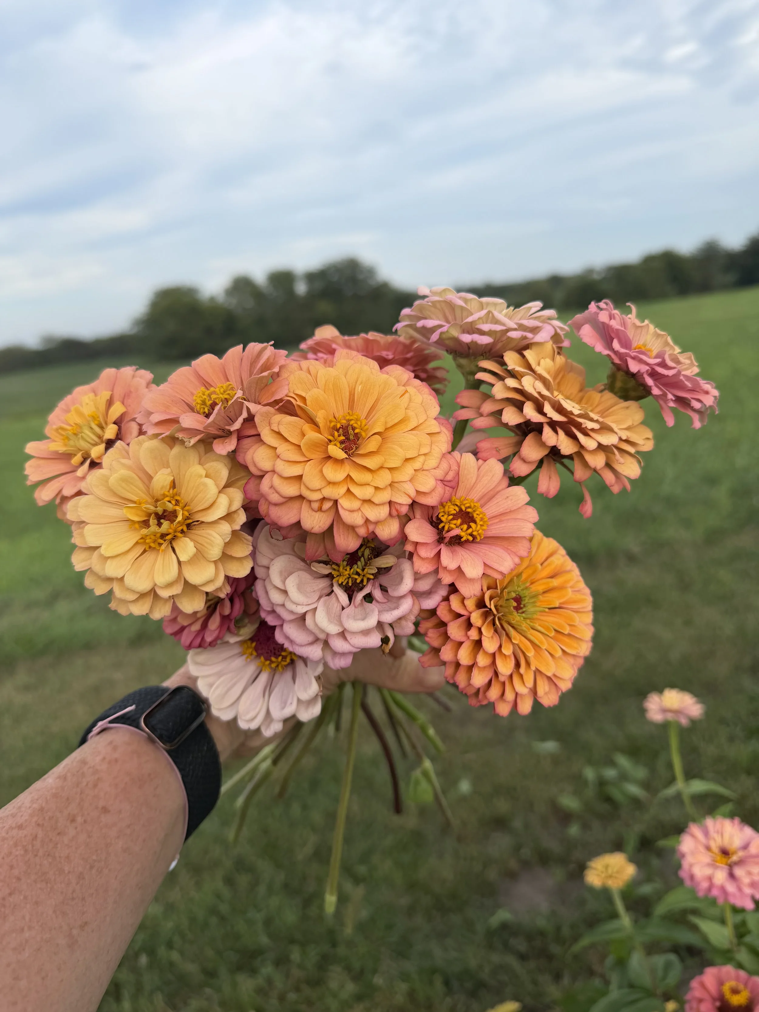 Flowers for the Table
