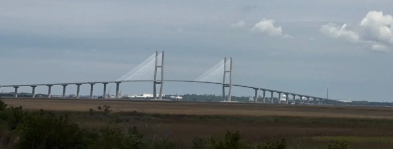 The Sidney Lanier Bridge in Brunswick GA. Coastal Georgia | Southern Living | Golden Isles