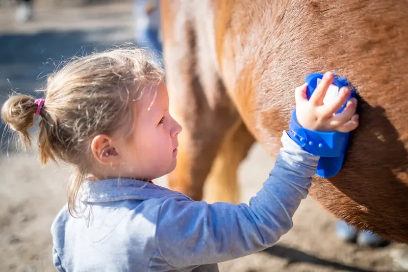 A young girl with blonde hair in a ponytail is grooming a brown horse with a blue curry comb.