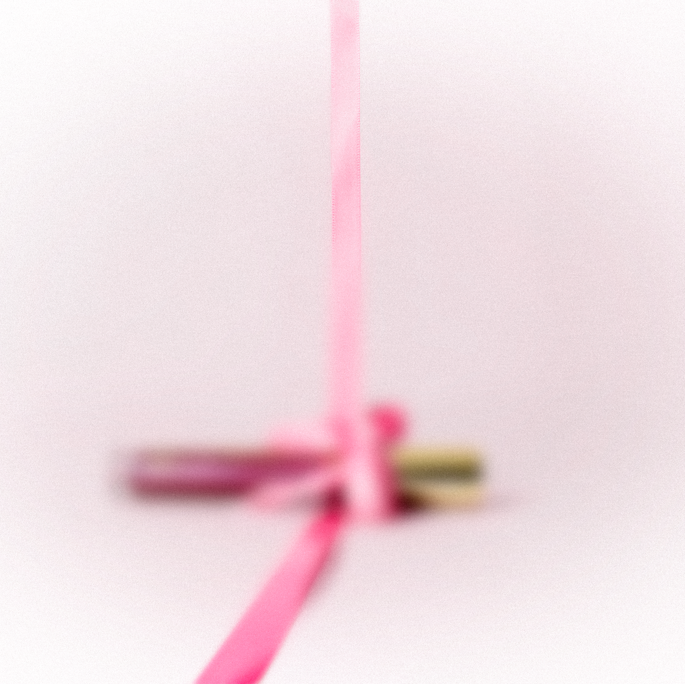 0225_TEASER_RASPBERRY_04 copy.png