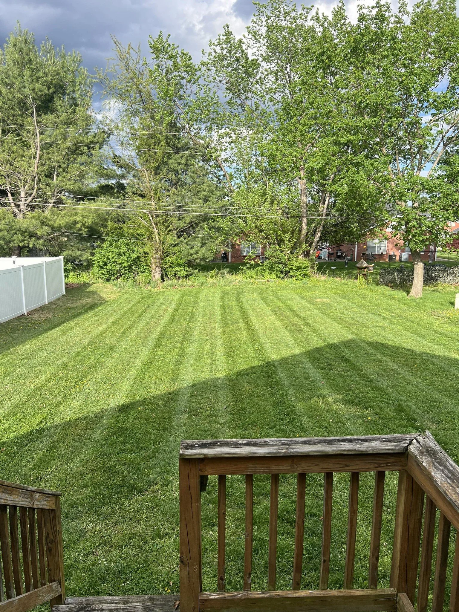 yard1.jpg