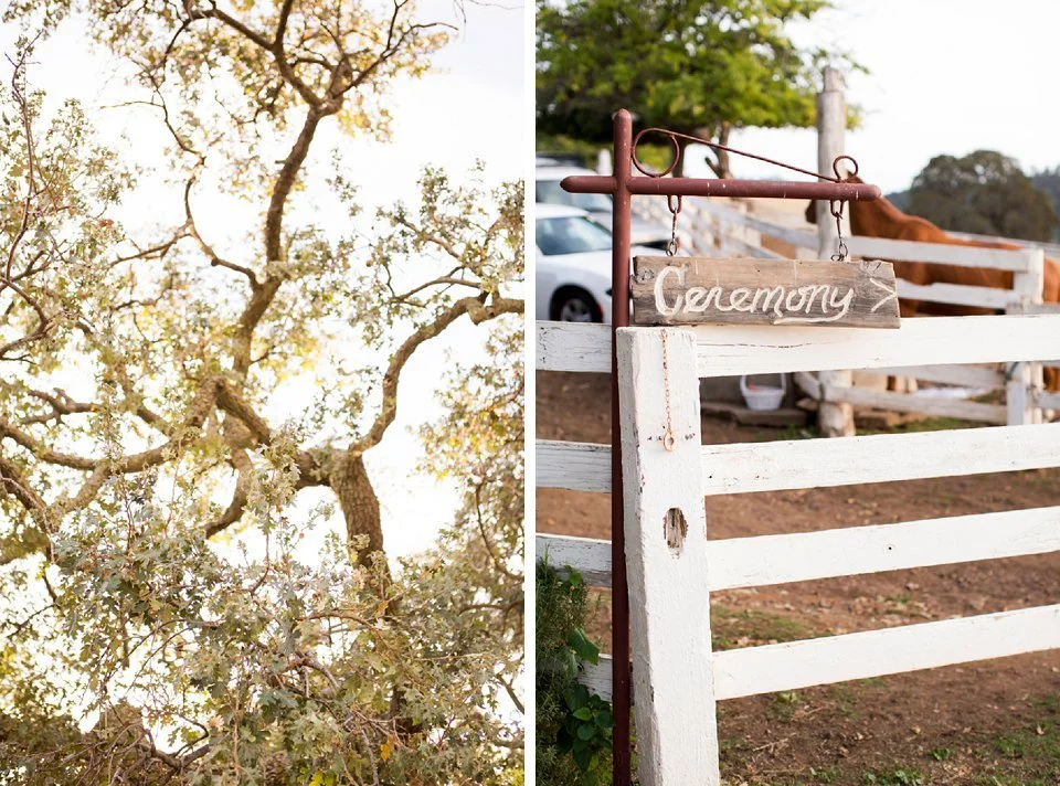 Fun-Bay-Area-Wedding-Photographer-Diablo-Ranch-Walnut-Creek-055.jpg