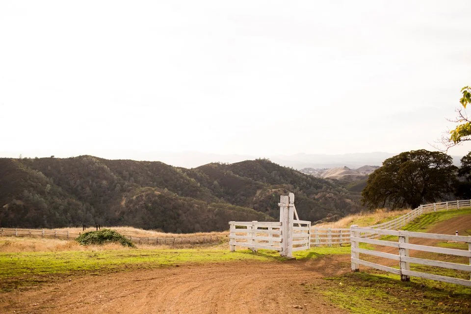 Fun-Bay-Area-Wedding-Photographer-Diablo-Ranch-Walnut-Creek-056.jpg