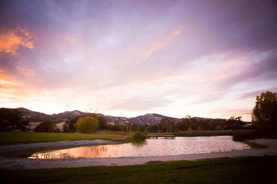 Sacramento-Rustic-Maternity-Photographer-Field-and-Pond-Winters-37.jpg