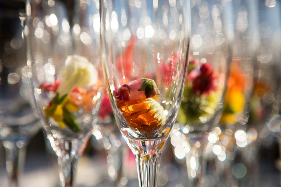 Mill_Valley_Special_Event_Photographer_Baby_Shower_037-c99.jpg