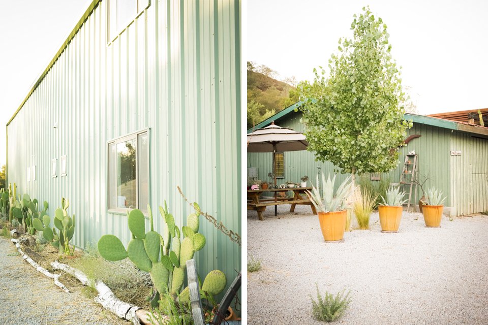 San_Luis_Obispo_Small_Business_Lifestyle_Photographer_0220.jpg