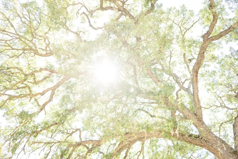 Free Spirits Rejuvenate at Sagrada's Yoga, Hiking, Wine and Chocolate Retreat | San Luis Obispo, CA
