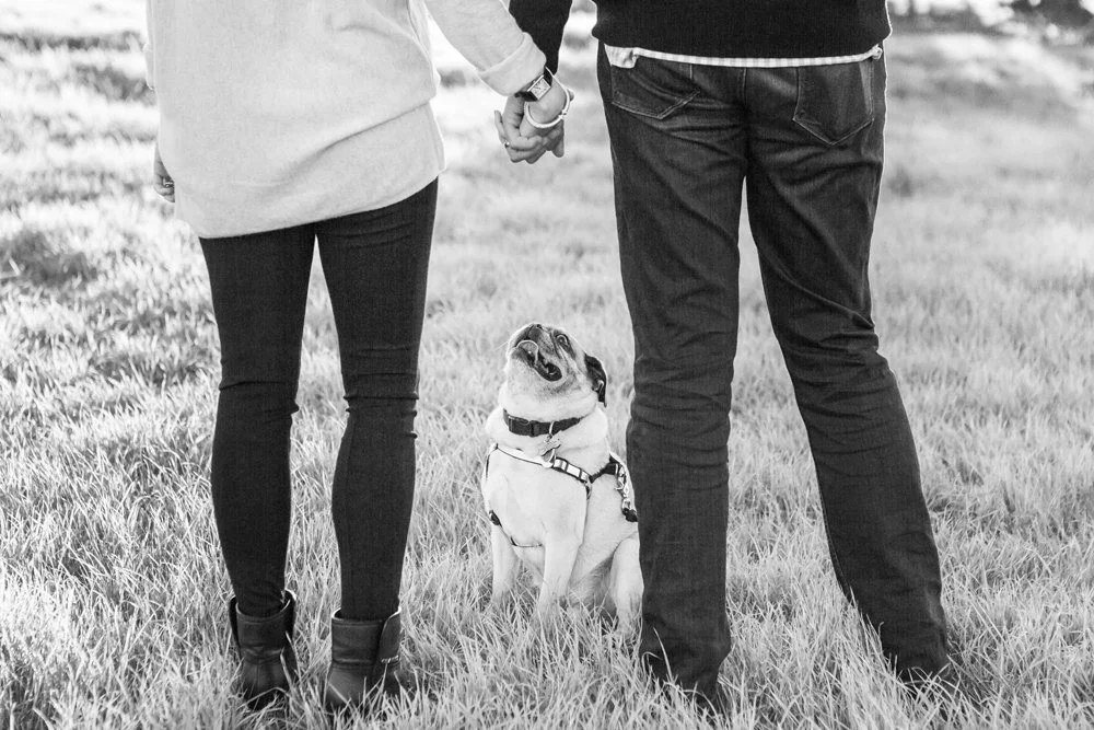 East-Bay-Area-Family-Pet-Portrait-Photographer-Walnut-Creek-01.jpg