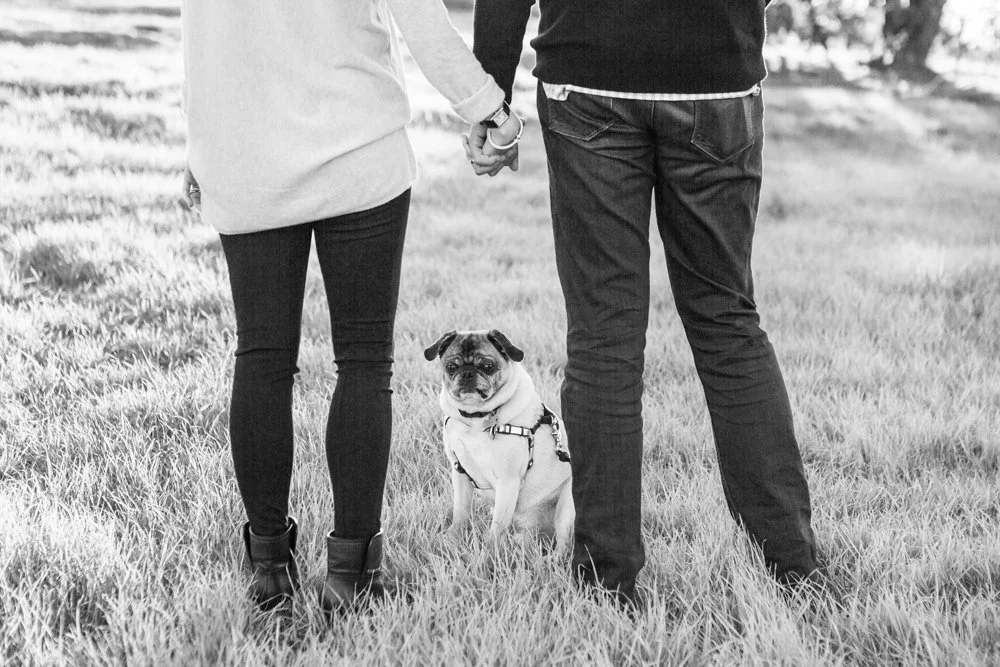 East-Bay-Area-Family-Pet-Portrait-Photographer-Walnut-Creek-02.jpg