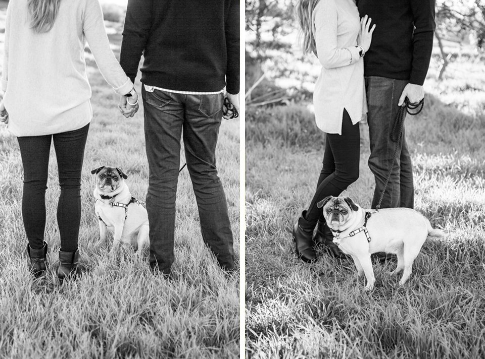 East-Bay-Area-Family-Pet-Portrait-Photographer-Walnut-Creek-04.jpg