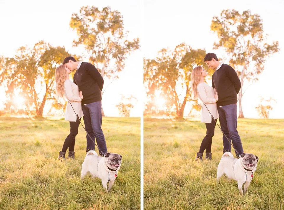 East-Bay-Area-Family-Pet-Portrait-Photographer-Walnut-Creek-06.jpg