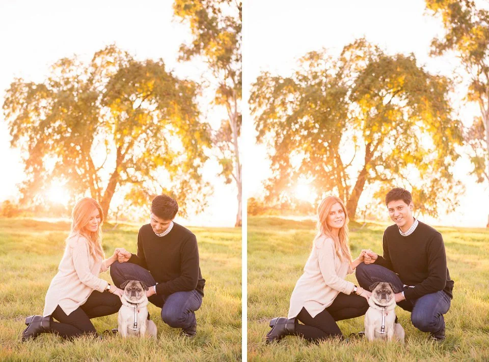 East-Bay-Area-Family-Pet-Portrait-Photographer-Walnut-Creek-14.jpg