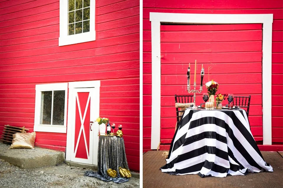 San_Francisco_Bay_Area_East_Bay_Halloween_Engagement_Photographer_01.jpg