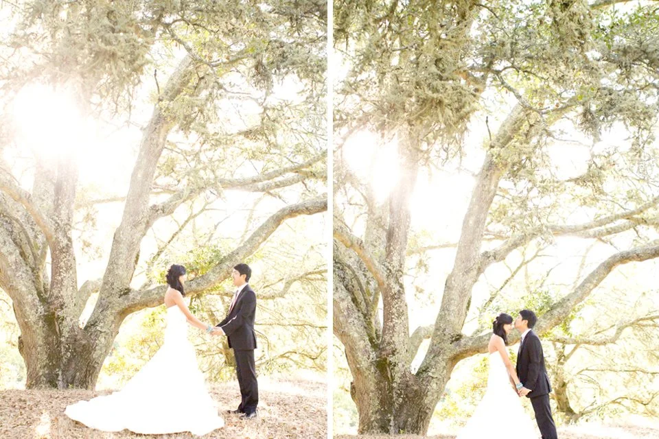 Oakland_Berkeley_Bay_Area_Wedding_Photography_11.jpg