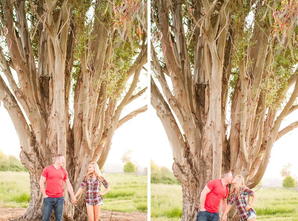 Petaluma_Napa_Sonoma_Wedding_Photographer_35_l.jpg
