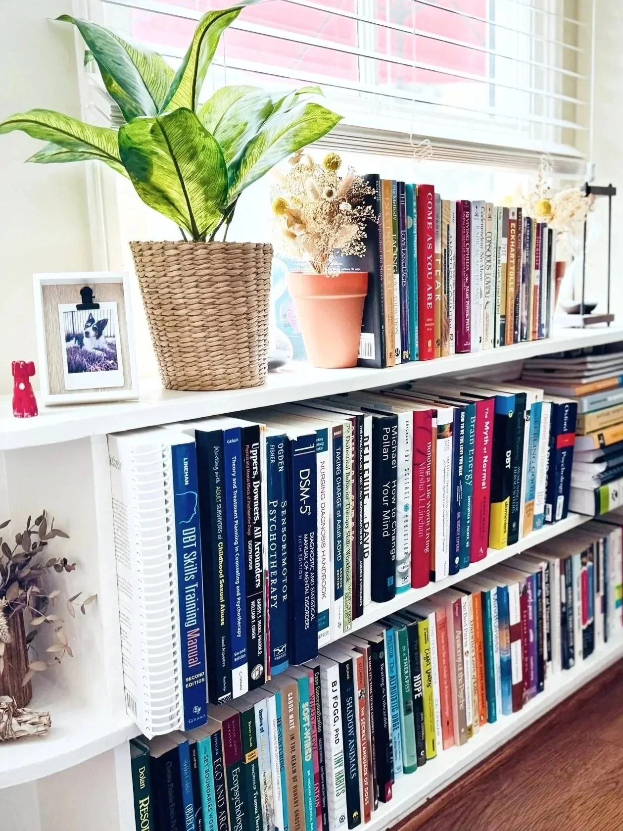 Bookshelf with various books, a potted plant, a framed photo of a dog, and decorative dried flowers on top, next to a window with blinds.