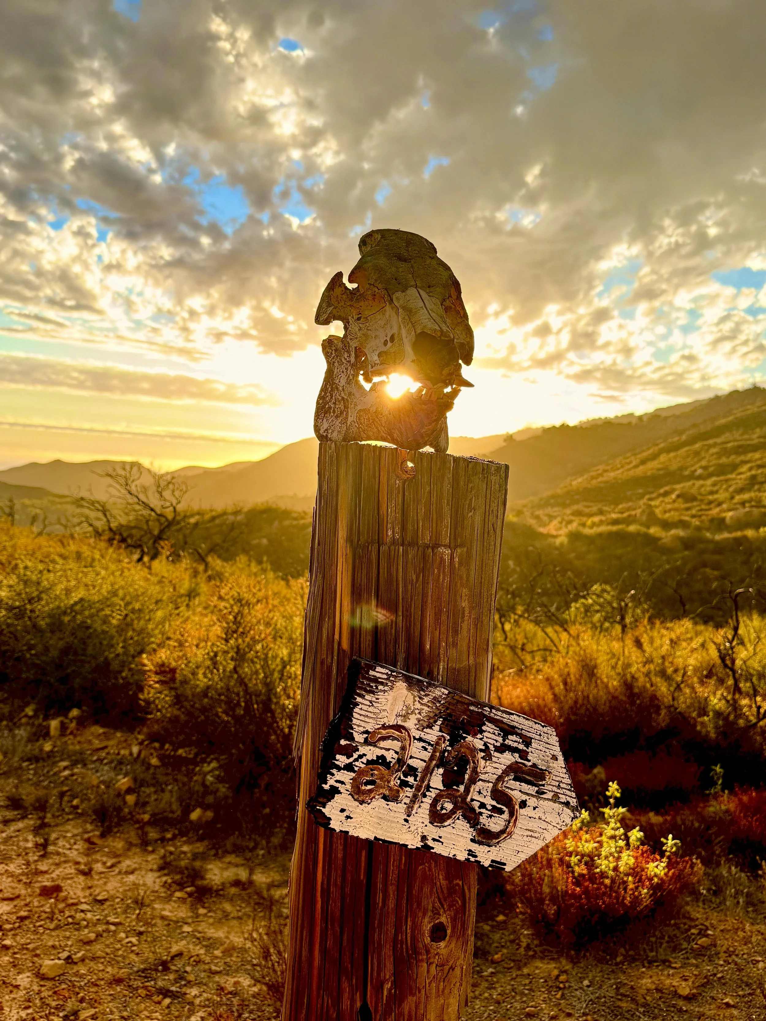 A weathered wooden post with a rusted metal sign reading 'STOP' hanging from it, set against a sunset sky with scattered clouds and rolling hills in the background.
