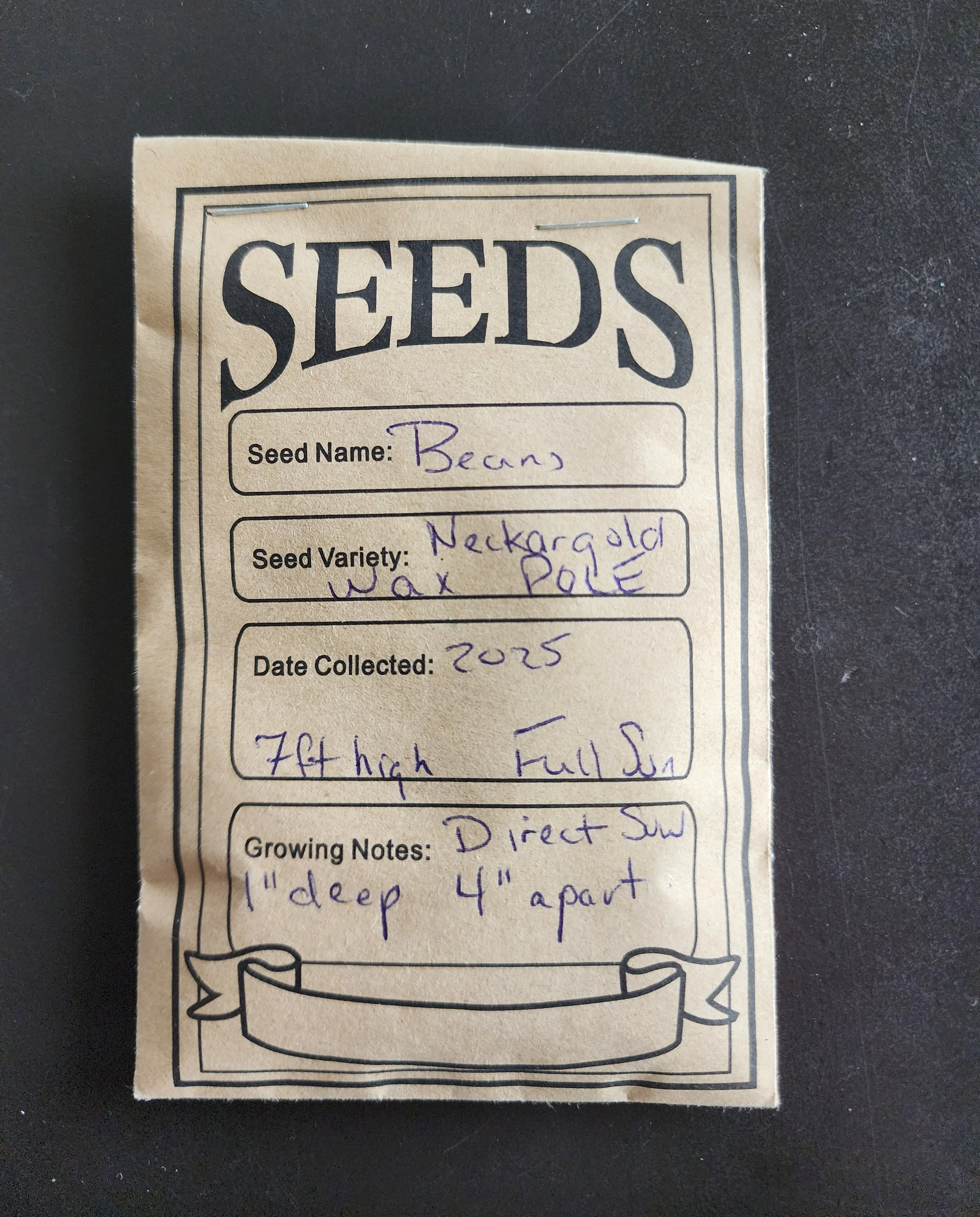 Bean Seeds