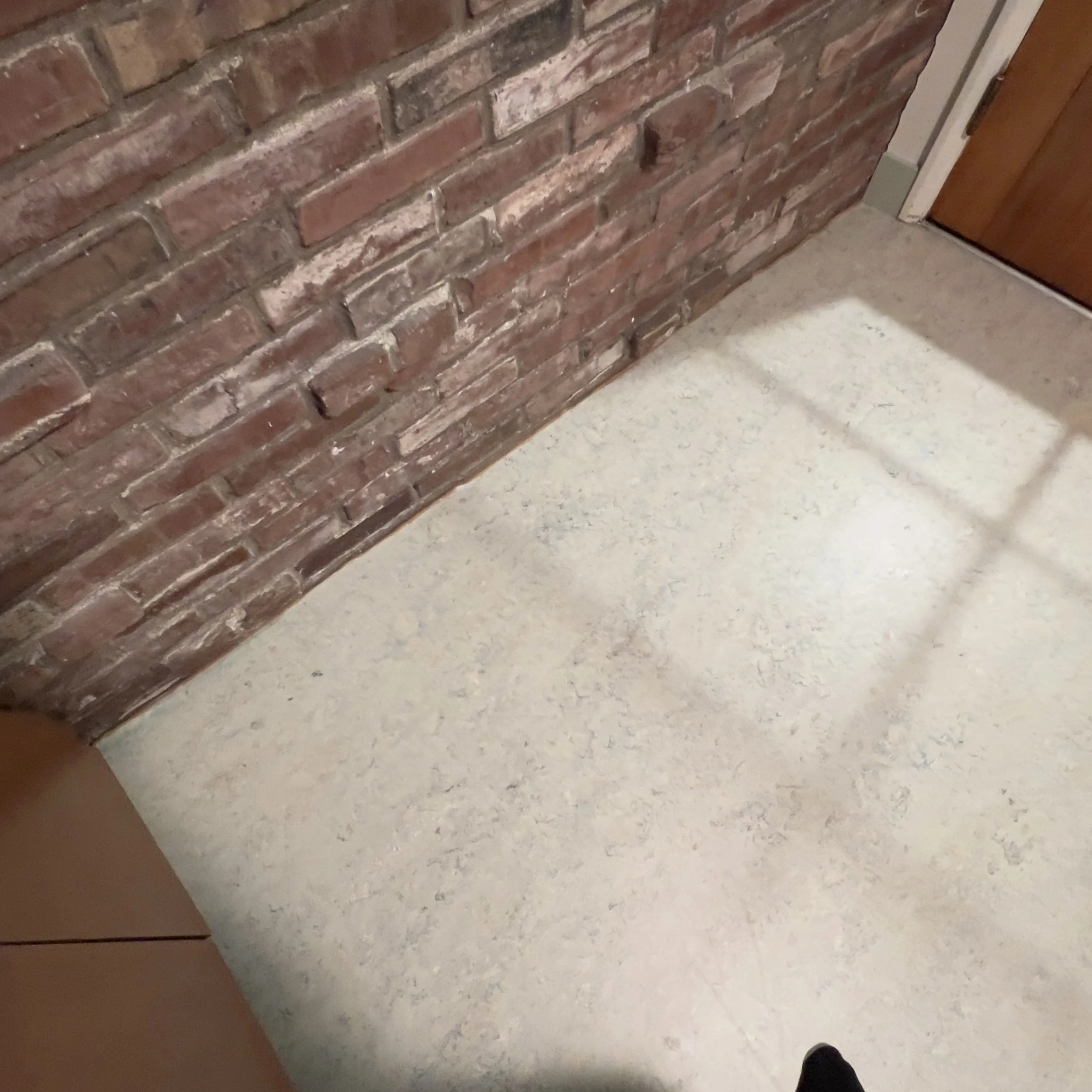 FullSizeRender.jpeg