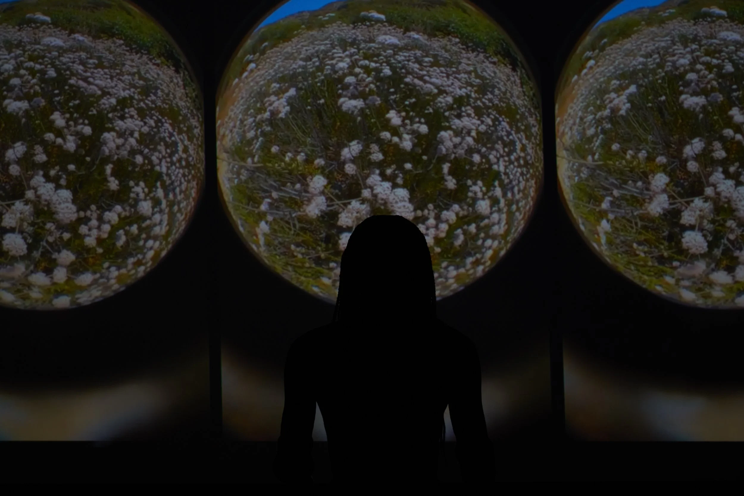 A person standing in front of three large spherical projections displaying images of white flowers and green foliage.