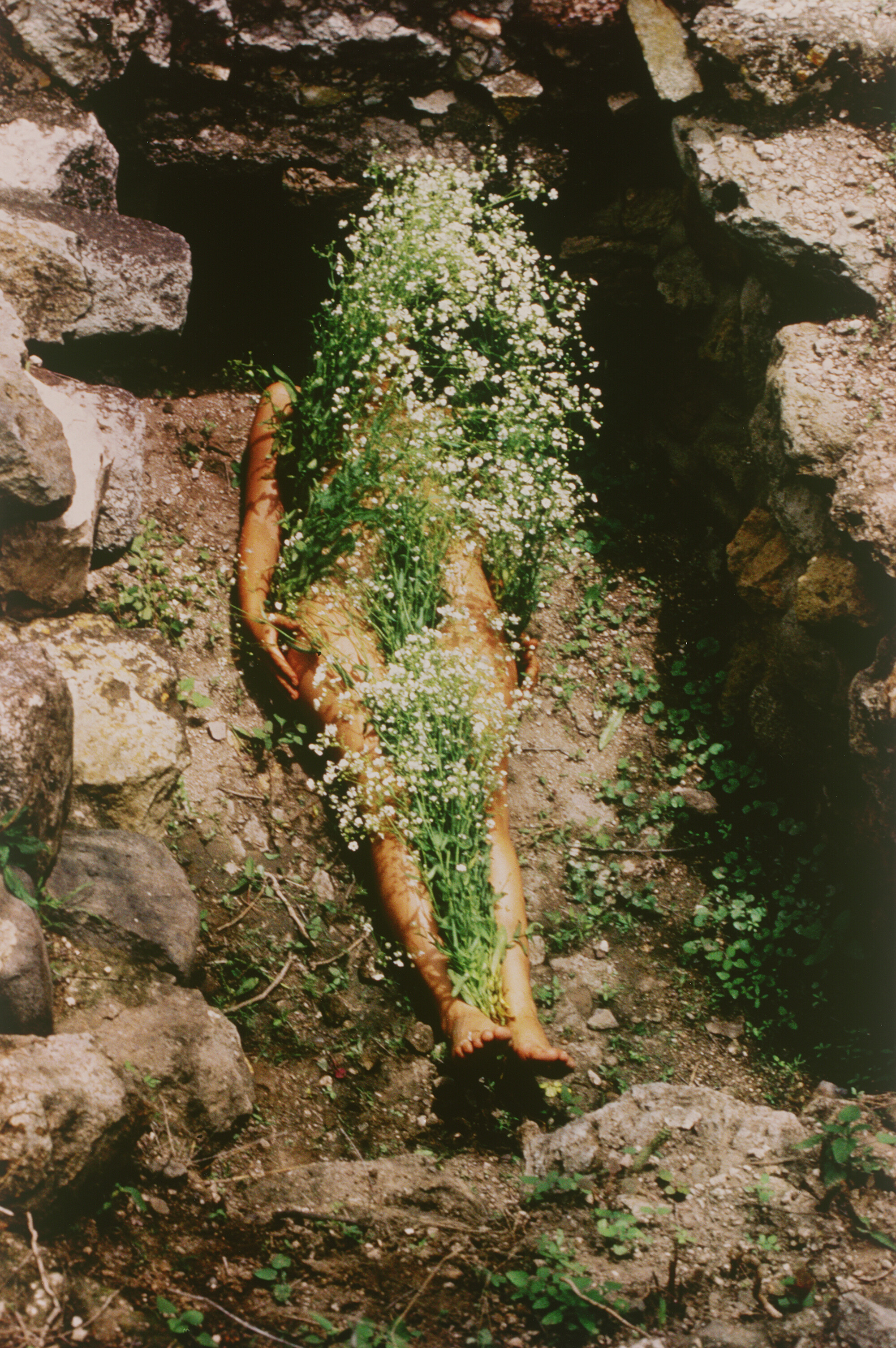 A terracotta pot tipped over on the ground, with small white flowers and green foliage spilling out of it, surrounded by rocks and dirt.
