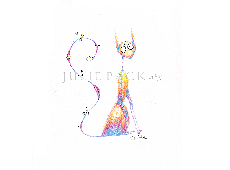 starry cat