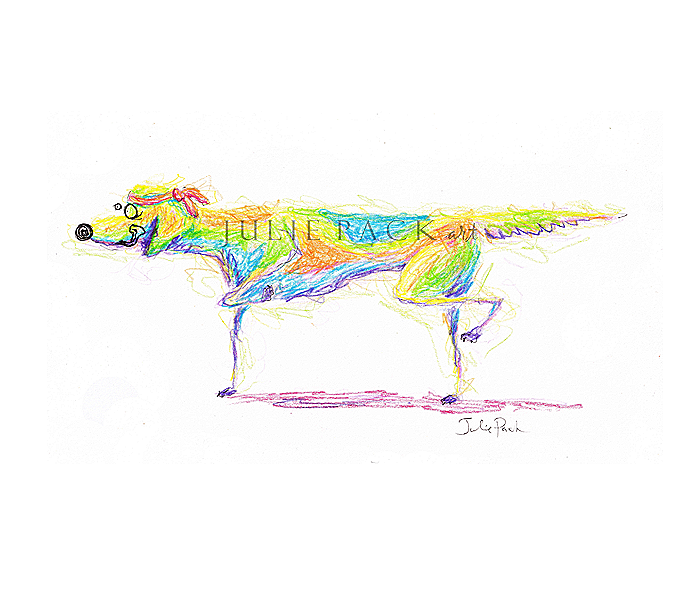 rainbow pointer dog