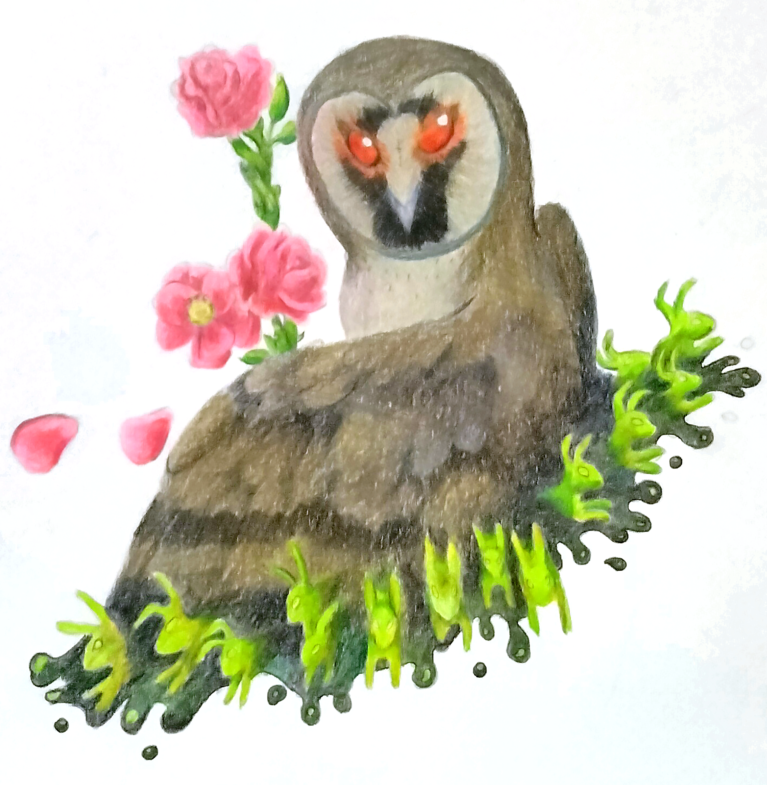 owl from Bye Sweet Carol.png