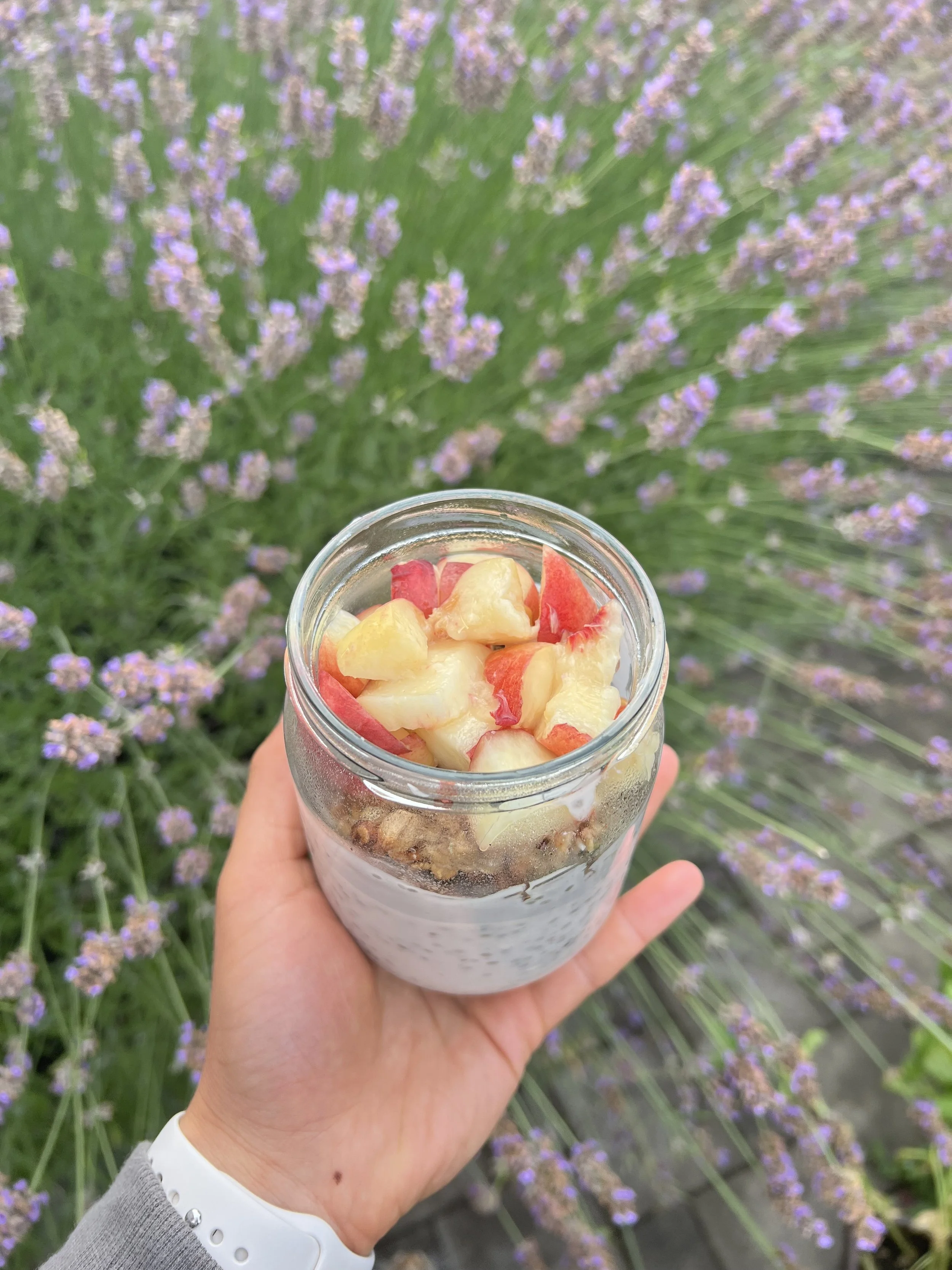 Strawberry Chia Yogurt Parfait